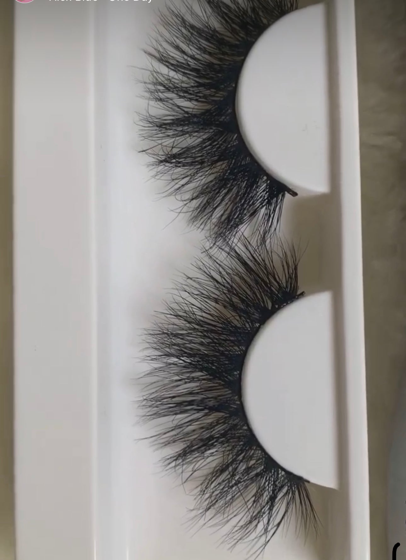 Darella lashes